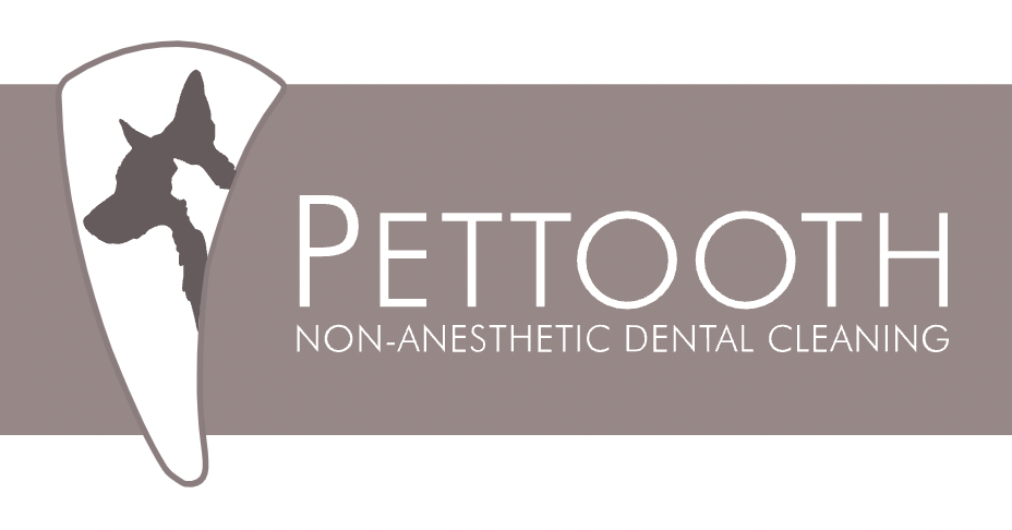 Pettooth non-anesthetic dental cleaning
