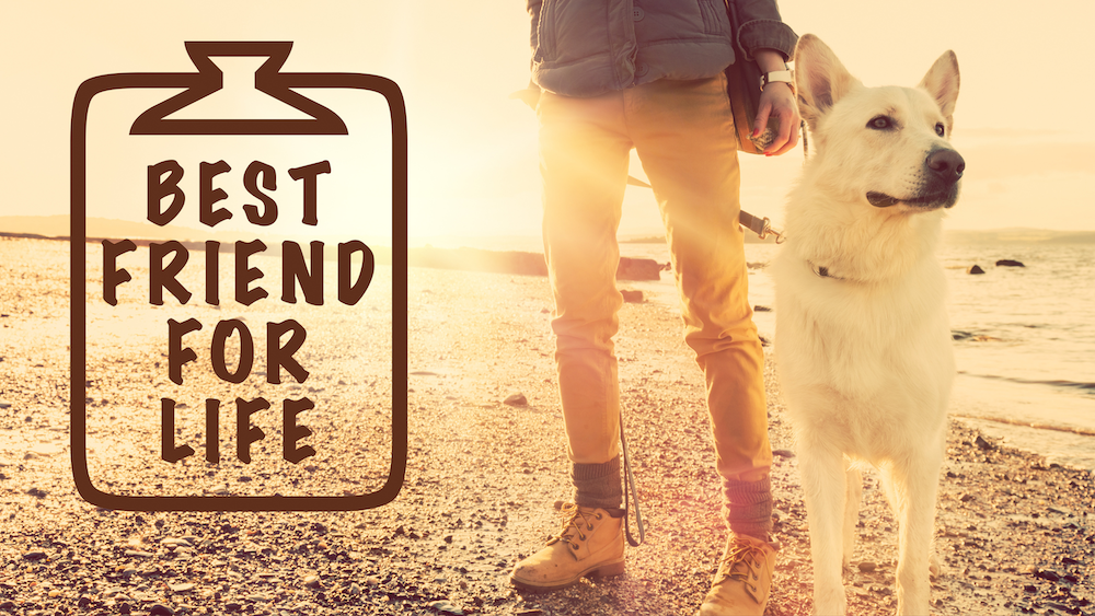 dog and human on beach best friend for life text